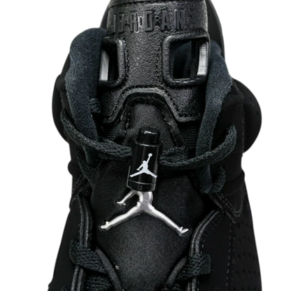 AJ6 Retro 'Chrome'