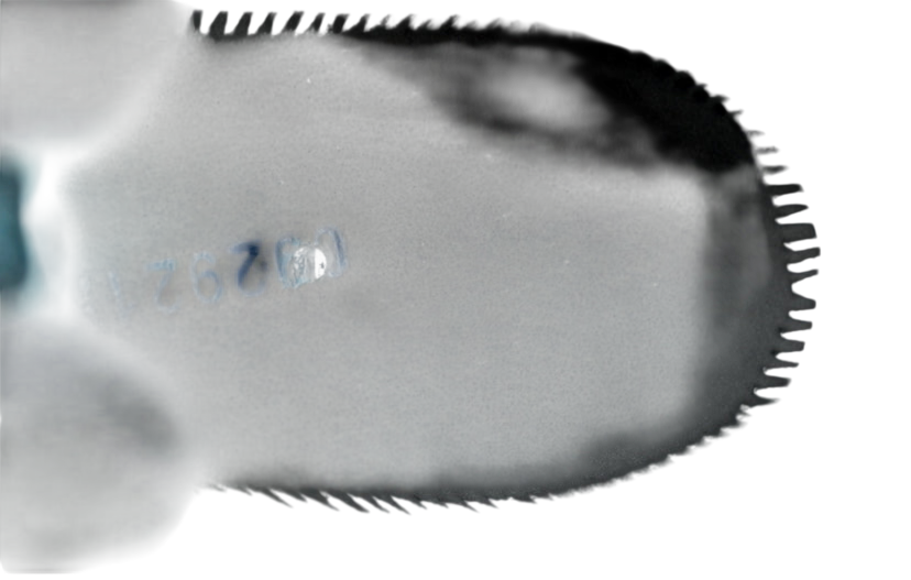 Air Jordan 11 Retro 'Gamma Blue' 2025