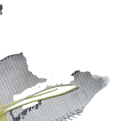 A Ma Maniere 'While You Were Sleeping' x AJ3 Retro